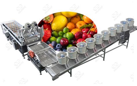 fruits and vegetables cutting machines|Fruit and Vegetable Processing Equipment Industrial .
